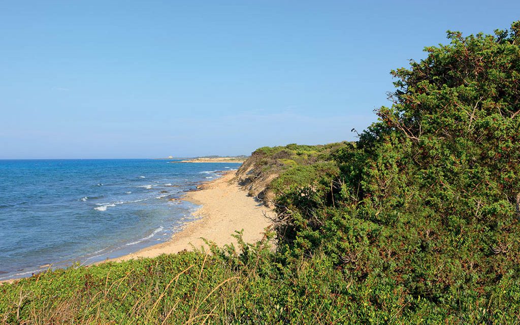 Riserva naturale di Torre Guaceto